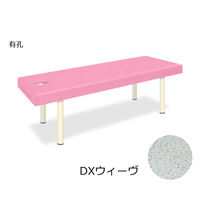 cxbh쏊 LEDXEB[ 50×180×70cm sN TB-1141U 1 62-6899-39iij