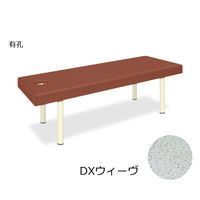 cxbh쏊 LEDXEB[ 55×170×45cm CguE TB-1141U 1 62-6901-13iij