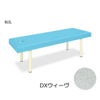 高田ベッド製作所 有孔DXウィーヴ 幅50×長さ170×高さ40cm スカイブルー TB-1141U 1個 62-6897-08（直送品）