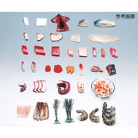 イワイサンプル フードモデル(魚介類) ひらめ(天然)30g 4-50 1個 62-8598-44（直送品）