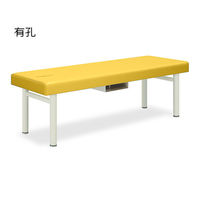 高田ベッド製作所 有孔フォルダ 幅50×長さ170×高さ45cm イエロー TB-418U 1個 62-7000-13（直送品）