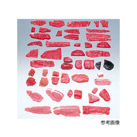 ひき肉 TOKYO X ひき肉 1P1K-38