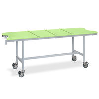 高田ベッド製作所 アルミストレッチャー100(ベルト付き) 幅65×長さ190×高さ80cm ライムグリーン TB-1351 1個（直送品）