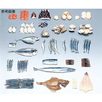 イワイサンプル フードモデル(魚介類) さんま(干)90g 4-107 1個 62-8599-12（直送品）