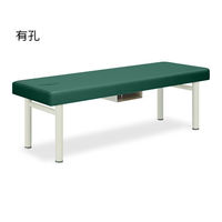 高田ベッド製作所 有孔フォルダ 幅60×長さ180×高さ40cm メディグリーン TB-418U 1個 62-7008-92（直送品）