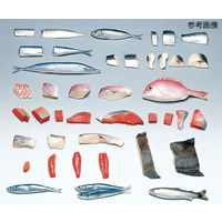 イワイサンプル フードモデル(魚介類) さけ30g 4-21 1個 62-8598-04（直送品）