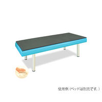 高田ベッド製作所 低反発マット 幅70×長さ190×厚み2cm TB-1238 1個 63-0987-68（直送品）