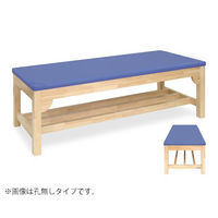 高田ベッド製作所 モクベッドSF 幅65×長さ180×高さ55cm 茶 TB-748 1個 63-0323-03（直送品）