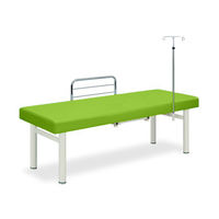 高田ベッド製作所 ナース901 幅65×長さ170×高さ50cm 抹茶 TB-1192 1個 63-0280-91（直送品）