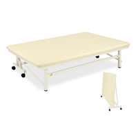 ベンダーホーム 設置時/幅120×長さ200×高さ45cm(収納時/幅50×長さ200×高さ134cm) メディグリーン TB-1181（直送品）