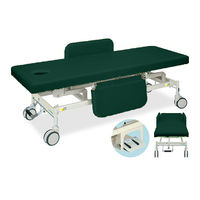 高田ベッド製作所 有孔電動Gカイザー 幅60×長さ190×高さ45~83cm メディグリーン TB-1125U 1個 63-0384-19（直送品）