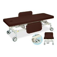 高田ベッド製作所 有孔電動Gカイザー 幅65×長さ180×高さ45~83cm 茶 TB-1125U 1個 63-0384-26（直送品）