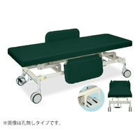 高田ベッド製作所 電動Gカイザー 幅65×長さ190×高さ45~83cm メディグリーン TB-1125 1個 63-0383-46（直送品）
