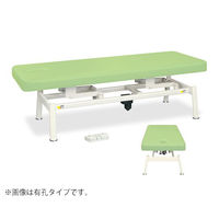 高田ベッド製作所 有孔電動LSベッド(無線FS式) 幅65×長さ180×高さ45~81cm グレー TB-1336U 1個（直送品）