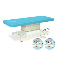 高田ベッド製作所 有孔垂直電動SPタイプ 幅70×長さ190×高さ48~81cm スカイブルー TB-730 1個 63-0357-17（直送品）