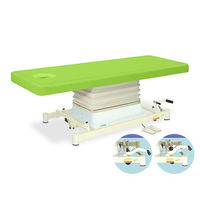 高田ベッド製作所 有孔垂直電動SPタイプ 幅60×長さ180×高さ48~81cm 抹茶 TB-730 1個 63-0356-25（直送品）