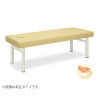 cxbh쏊 AX 65×180×60cm CO[ TB-323 1 63-0258-96iij