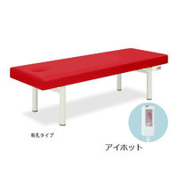 高田ベッド製作所 アイホット901 幅65×長さ180×高さ60cm レッド TB-685 1個 63-0275-35（直送品）