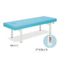 高田ベッド製作所 アイホット901 幅65×長さ180×高さ60cm スカイブルー TB-685 1個 63-0275-29（直送品）