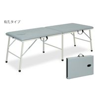 高田ベッド製作所 有孔トライ 幅60×長さ170×高さ45cm グレー TB-252U 1個 63-0172-90（直送品）