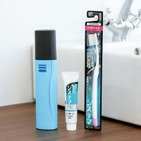 歯周病予防セット ミガコット 歯ブラシケース ブルー + システマ EXハミガキ メディカルクール + ハブラシ コンパクト ふつう  限定