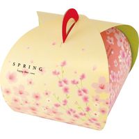 ヤマニパッケージ バルーンBOX 春 20-629 1ケース(100:100枚全面クラフト包装)（直送品）