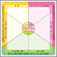 オータケ 6つの基礎食品群カラーボード 90×90cm 603-685（8025）（直送品）