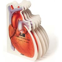 アプライ 型抜き絵本 心臓 TP003 1セット（直送品）