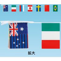アルファ ビニール万国旗 EL8-0003ASK 10セット（直送品）
