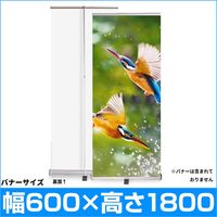 KMA ロールアップバナースタンド 伸縮式 W600 K-ECOS-0600（直送品）