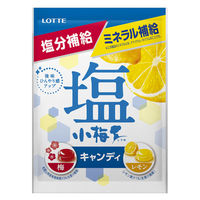 【アウトレット】ロッテ 塩小梅（袋）＜梅＆レモン＞ 1個