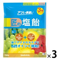 Gains 匠の塩飴 3種アソート 1セット（1袋×3） サラヤ 塩飴 塩分補給