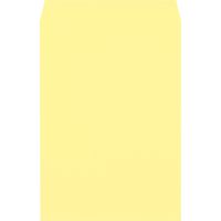ムトウユニパック 封筒角 2 クリーム 100 サイド 11171502 1箱(500枚)