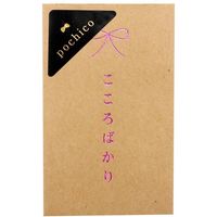 pochico ポチ袋 クラフト こころばかり 5枚入 PO-C02 10冊 エヒメ紙工（直送品）