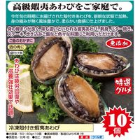 ササゲリバース 冷凍殻付き蝦夷あわび 50～60g×10個 a21574 1個（直送品）