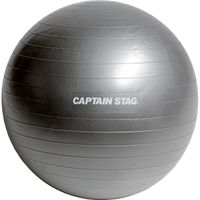 キャプテンスタッグ VitFit フィットネスボール 直径65cm シルバーホワイト UR-0863 1個