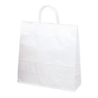 ササガワ 手提げバッグ １０Ｐ白無地 中 50-6200 1包 【10枚袋入】（取寄品）
