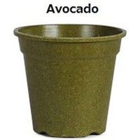 Ecoforms Gp12AAvo Avocado 504217 1個（直送品）