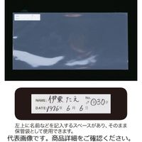 キクタニ パノラママーキングポケット 404-3954 1セット（3ケース（300枚×3））（直送品）