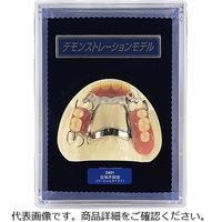 フィード 磁性アタッチメント/上顎フル 897-6482 1個（直送品）