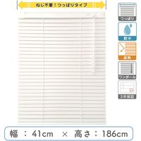 【1cm単位】プロ仕様「つっぱりブラインド」幅41cm×高186cm＜遮熱・耐水＞ ctb835T-41x186r68 1セット トーソー（直送品）