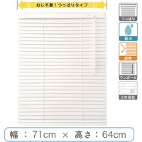 y1cmPʁzvdluςuChv71cm×64cmՔMEϐ ctb835T-71x64r48 1Zbg g[\[iij