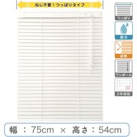y1cmPʁzvdluςuChv75cm×54cmՔMEϐ ctb835T-75x54r48 1Zbg g[\[iij