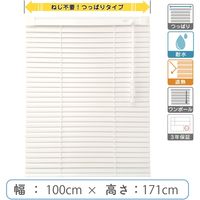 【1cm単位】プロ仕様「つっぱりブラインド」幅100cm×高171cm＜遮熱・耐水＞ ctb835T-100x171r68 1セット トーソー（直送品）