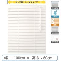 【1cm単位】プロ仕様「つっぱりブラインド」幅100cm×高60cm＜遮熱・耐水＞ ctb835T-100x60r48 1セット トーソー（直送品）