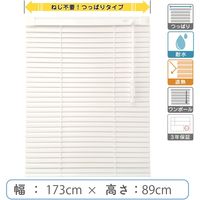 【1cm単位】プロ仕様「つっぱりブラインド」幅173cm×高89cm＜遮熱・耐水＞ ctb835T-173x89r48 1セット トーソー（直送品）