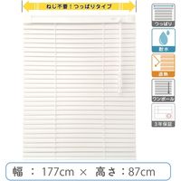 y1cmPʁzvdluςuChv177cm×87cmՔMEϐ ctb835T-177x87r48 1Zbg g[\[iij