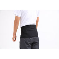 アイリスオーヤマ 理学療法士設計サポーター腰用L ISK-L 1個（直送品）