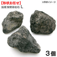 国産浅間溶岩石L（3ヶ） 約15～20cm 2250000514962 1個
