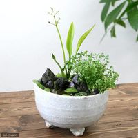 リーフ 益子焼 足付深丼 白マット 2250000685235 1個（直送品）